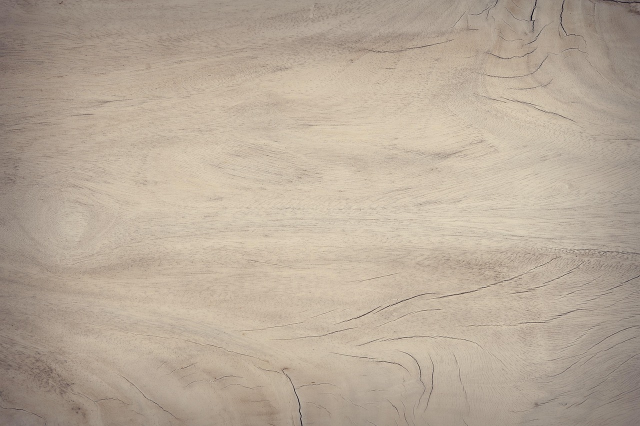 Close-up of natural wood grain